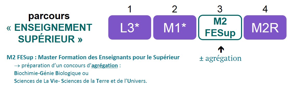 Parcours enseignement suprieur