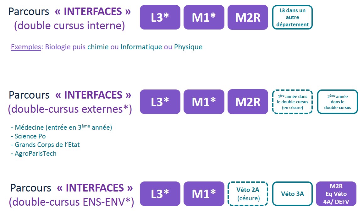 Parcours Interfaces