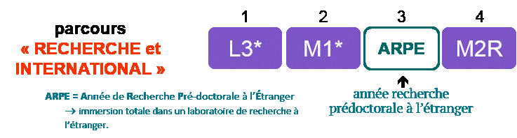 Parcours Recherche et international