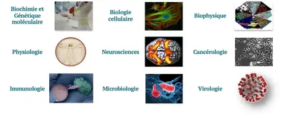Biochimie et Génétique moléculaire, Biologie cellulaire, Biophysique, Physiologie, Neurosciences, Cancérologie, Immunologie, Microbiologie, Virologie